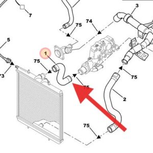 Peugeot 206 2003-2009 Top Radiator Hose