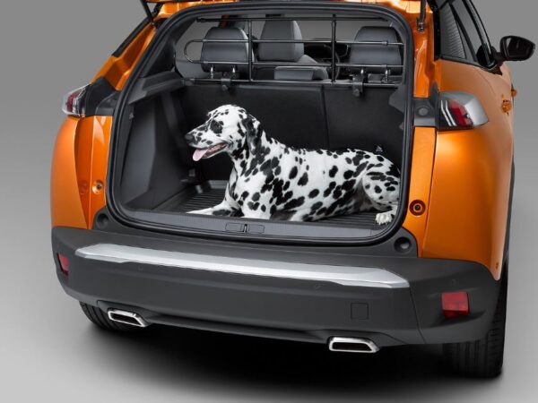 Peugeot Rifter 2018-2020 Dog Guard Metallic