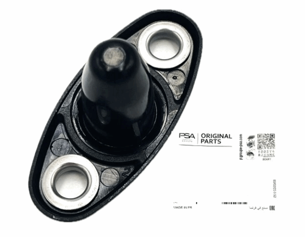 Peugeot Expert Teppee Guide (Female)