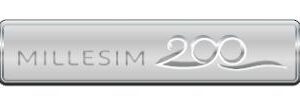 Peugeot Customised Badge "200 Years" 9423 13