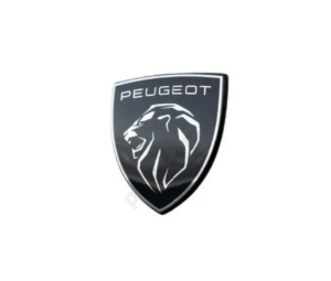 Peugeot 308 2020-Present Wing Badge