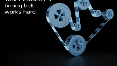 peugeout timing belt
