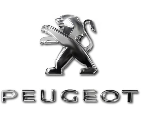 Tipi 460672 Bras Peugeot Expert Tipi VF 140045678002 